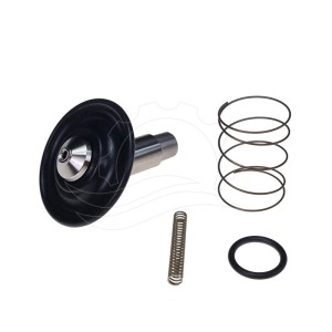 Bürkert 6213 solenoidinio vožtuvo 0-10bar DN13 FKM VA DC remonto komplektas