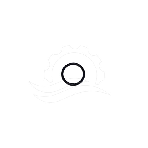 O-ring zaworu pompy Hawk NMT CW