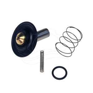 Bürkert 6213 solenoidinio vožtuvo 0-10bar DN13 EPDM MS AC remonto komplektas