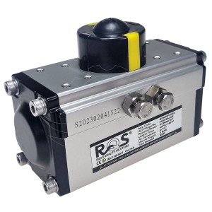 Pneumatinė rotacinė pavara RQS NDA40 F35X9