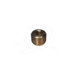 Slėgio reguliatoriaus dangtelis G1/4''